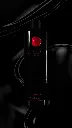 Shampoo dark silk coat elixir